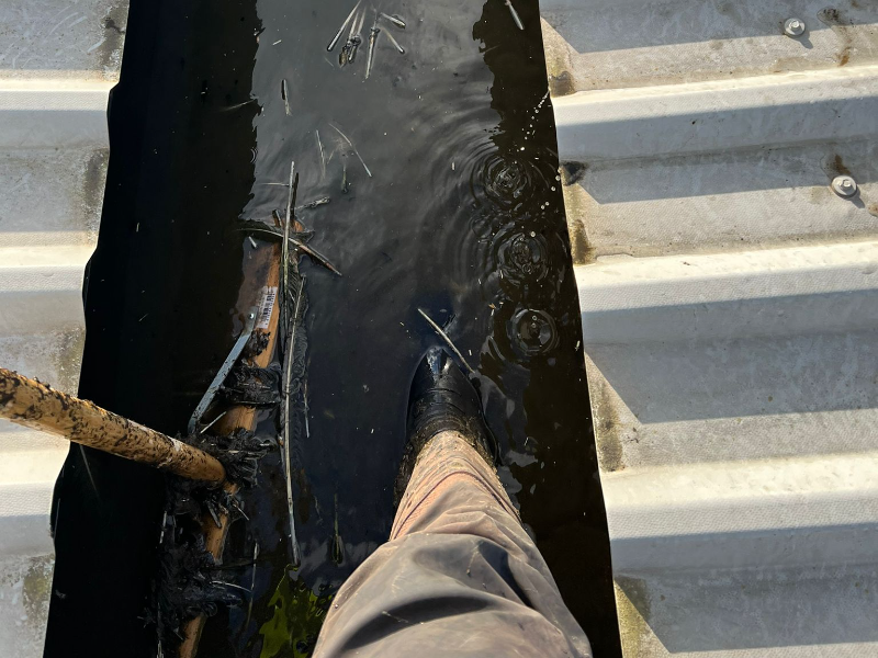 Gutter Cleaning in Cambridgeshire