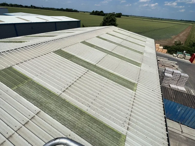 Skylight Cleaning in Cambridgeshire